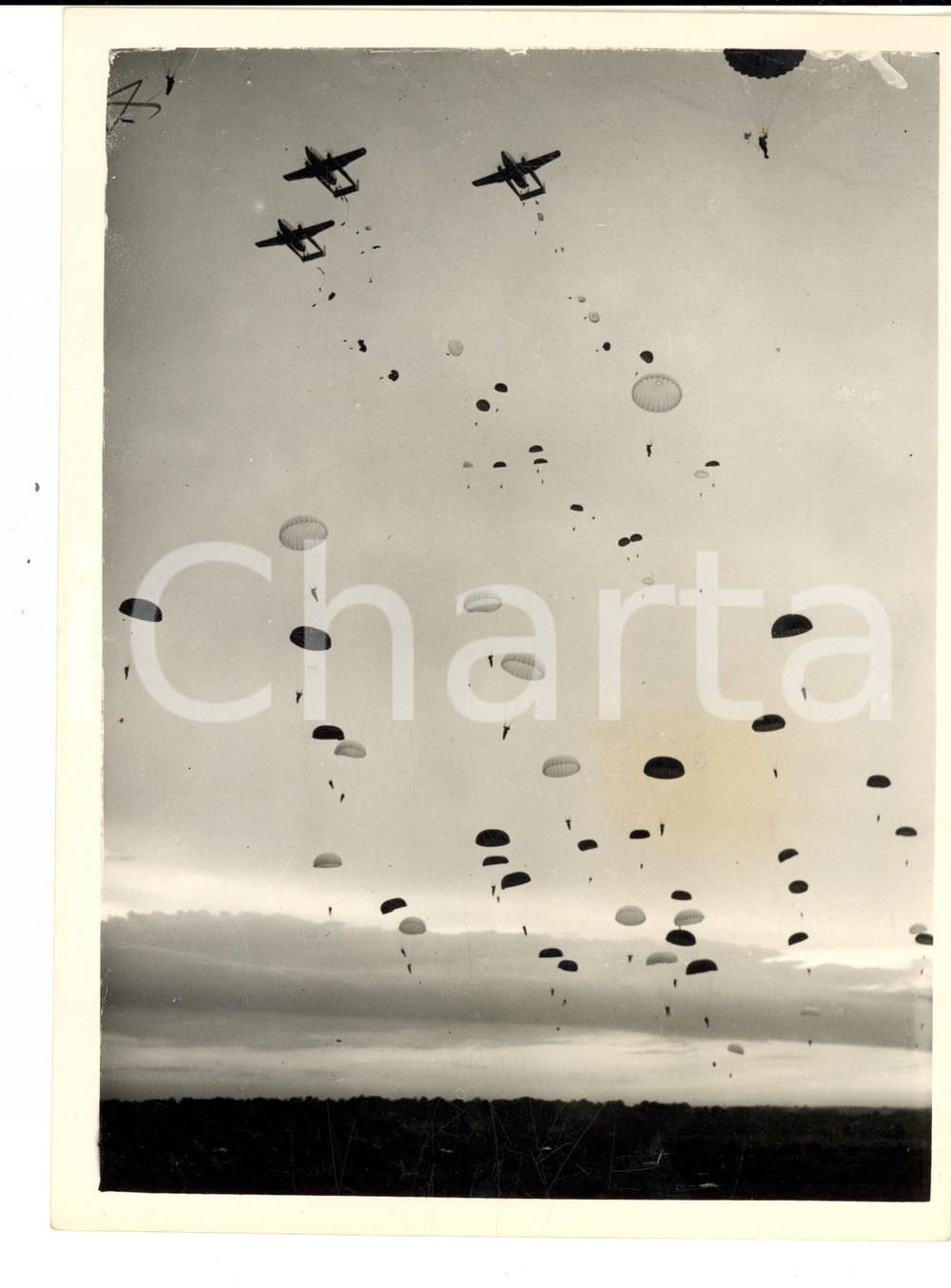 Fotografia d epoca originale 1953 NORFOLK TERRIERS drop from the sky for ARNHEM anniversary Photo 15x20 cm 1