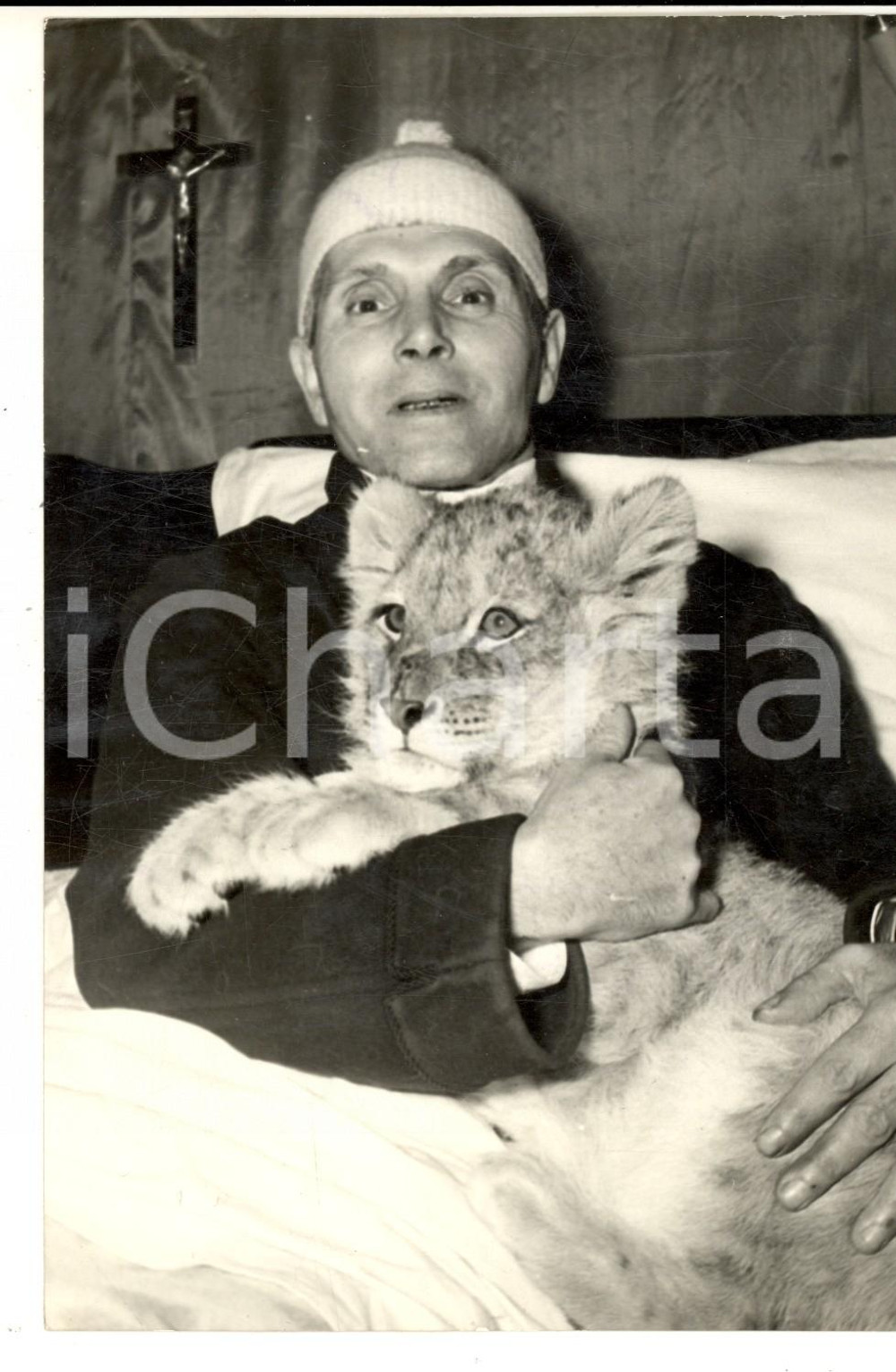 Fotografia d epoca originale 1959 NAPOLI Invalido Alberto FEDELE con un leoncino del circo Foto 13x18 cm 1