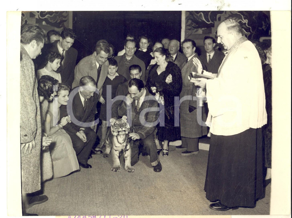 Fotografia d epoca originale 1954 PARIS Maurice CHEVALIER parrain du tigre BARBOUILLET Photo 18x14 cm 1