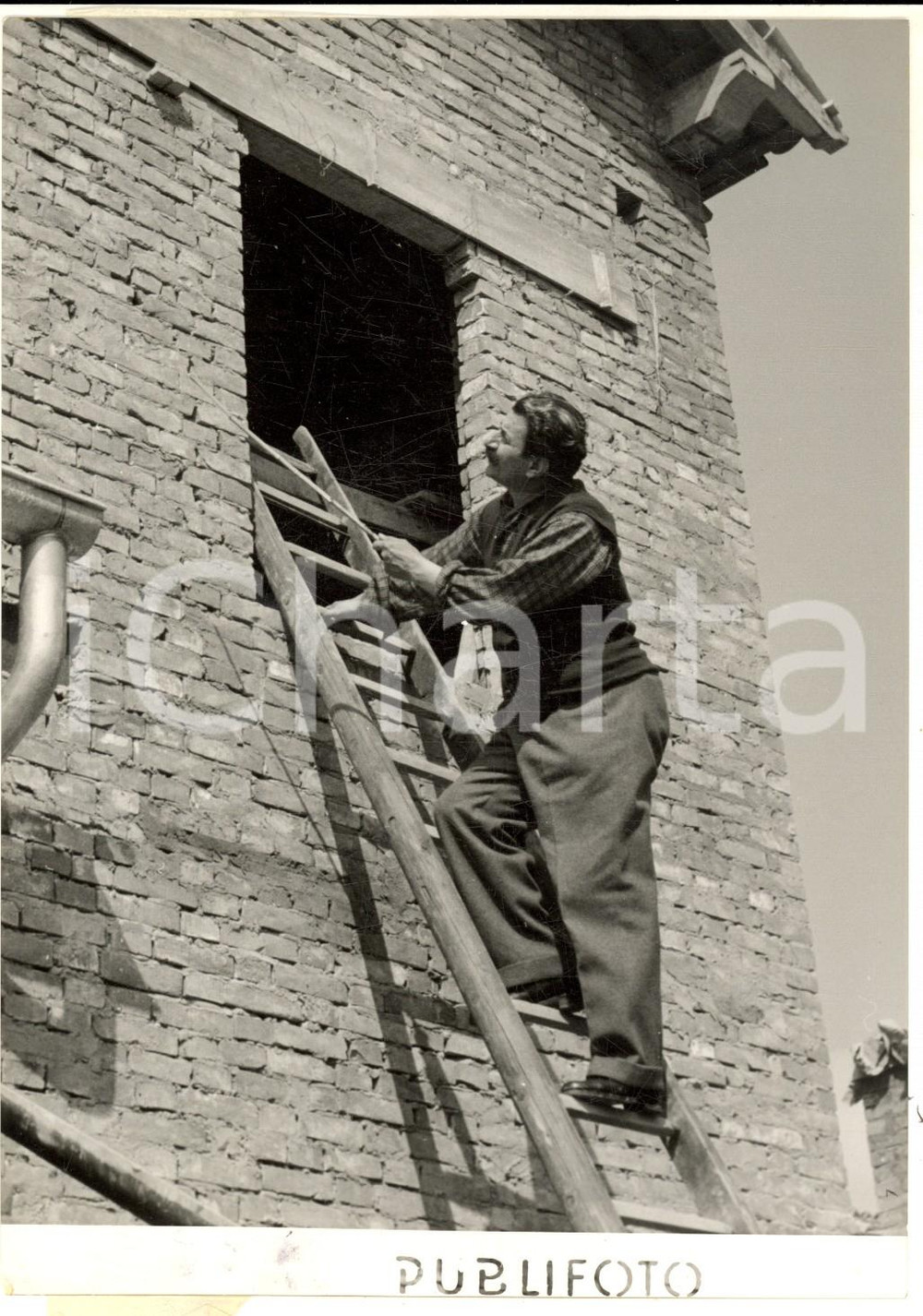 Fotografia d epoca originale 1954 RONCOLE DI BUSSETO Giovannino GUARESCHI controlla la sua nuova stalla 1