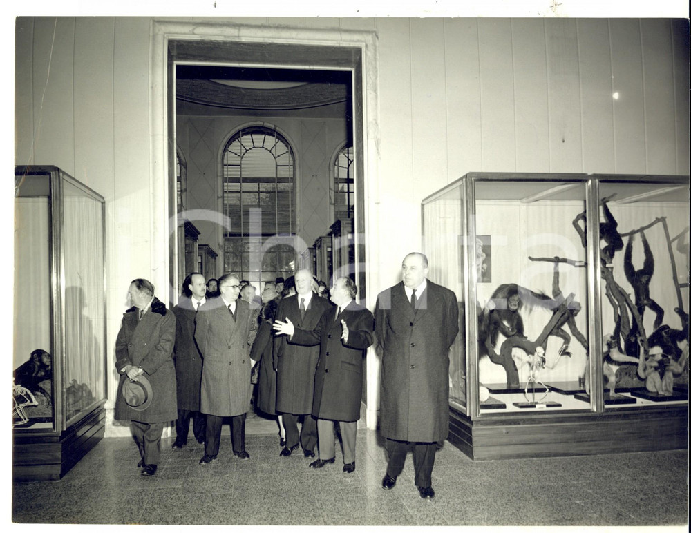 Fotografia d epoca originale 1963 MILANO Gino CASSINIS inaugura una sala del Museo di Storia Naturale Foto 1