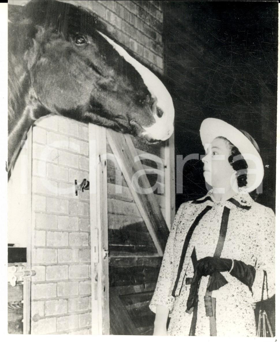 Fotografia d epoca originale 1974 EDIMBURGO Regina Elisabetta riceve uno sgradito bacio da un cavallo Foto 1