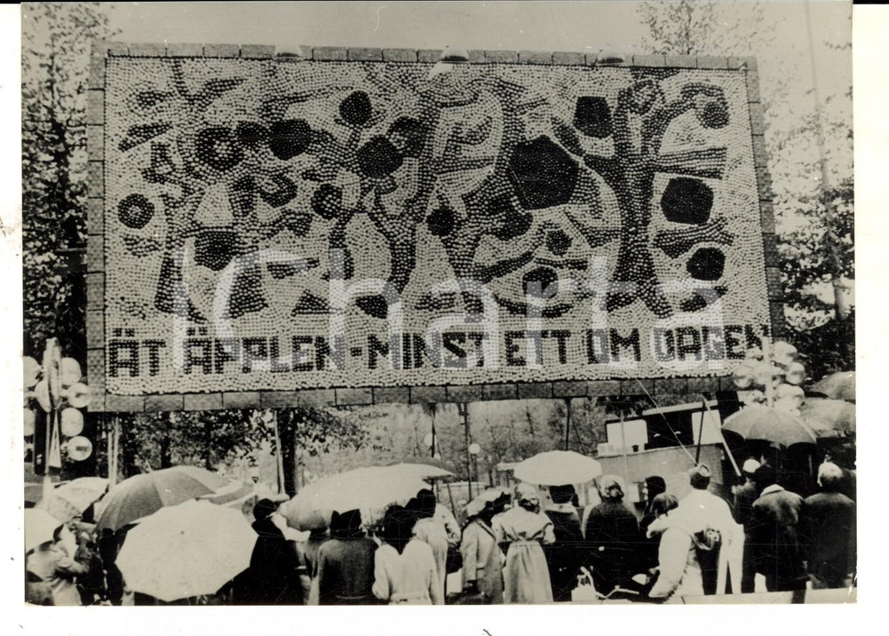 Fotografia d epoca originale 1968 STOCCOLMA Cartellone pubblicitario fatto di mele pro consumo frutta Foto 1