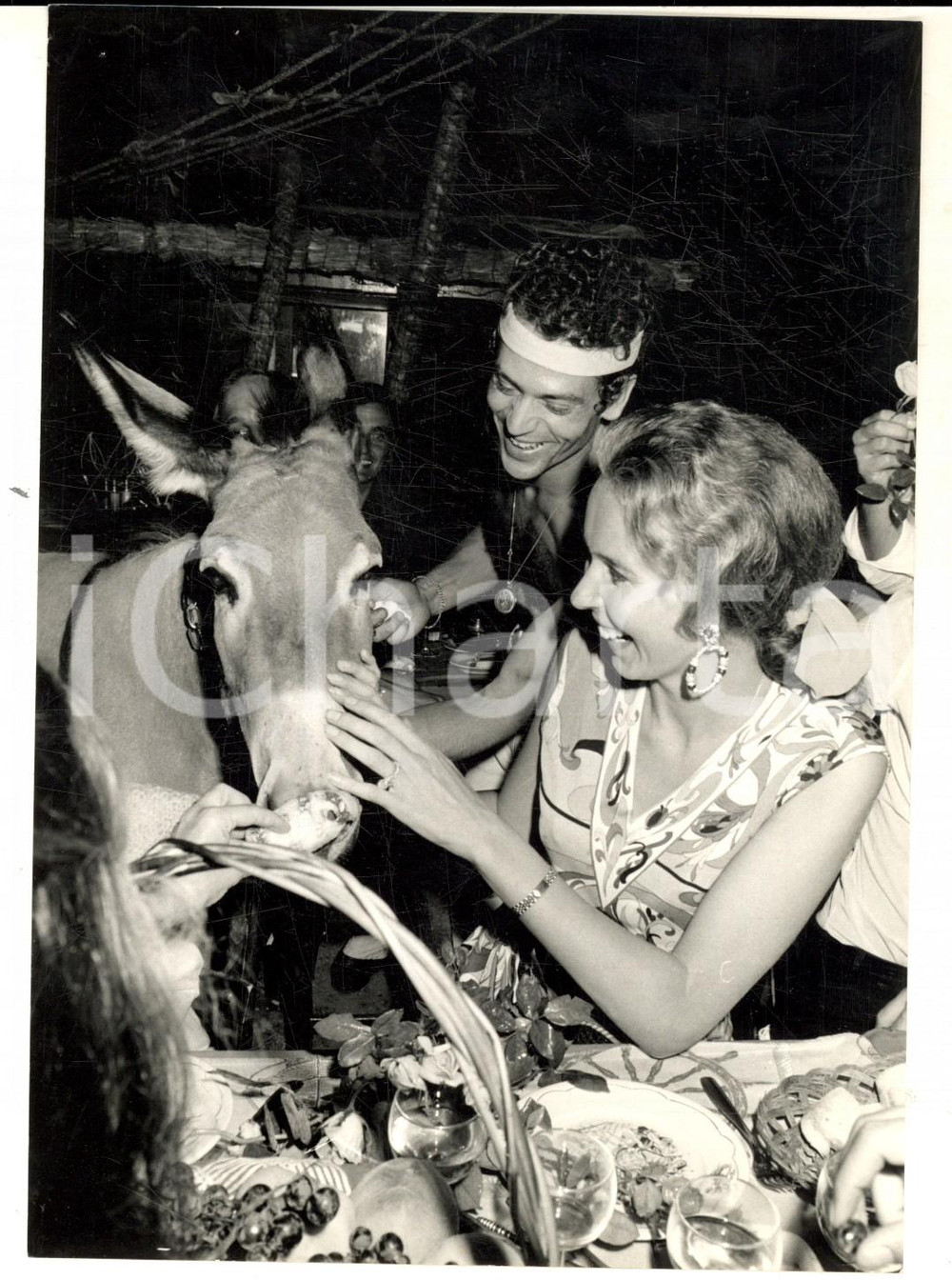 1967 CAP MARTIN Maria Gabriella di Savoia dà zollette a un mulo durante un party