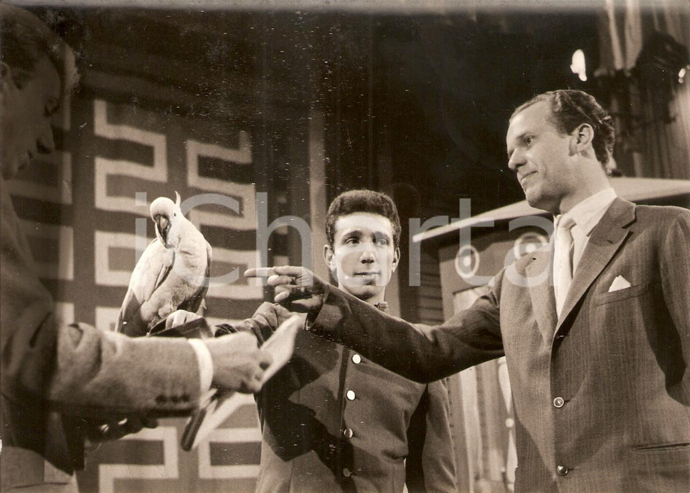 Fotografia d epoca originale 1957 LASCIA O RADDOPPIA Mike BONGIORNO e Charles HAINES con pappagallo Foto 1