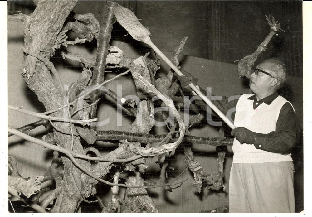 Fotografia d epoca originale 1959 TORINO Mostra ARTE NUOVA Il maestro dei fiori Sofu TESHIGAHARA Foto 18x13 1