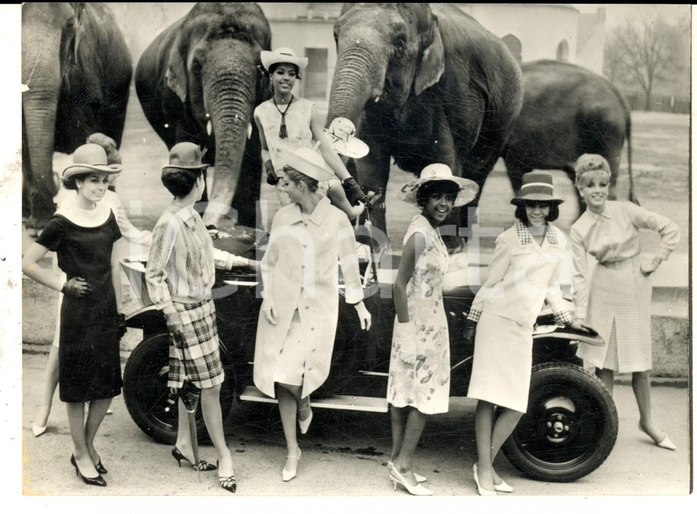 Fotografia d epoca originale 1964 MONACO DI BAVIERA Modelle posano allo zoo tra gli elefanti Foto 18x14 cm 1