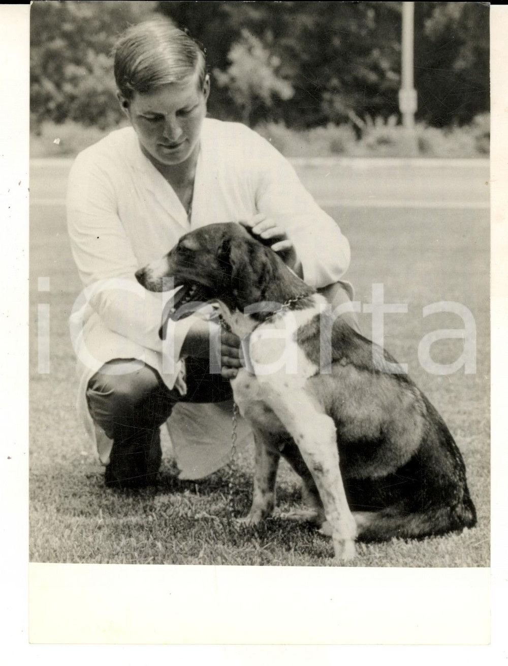 Fotografia d epoca originale 1969 BETHESDA USA Cane con batteria cardiaca nucleare sperimentale Foto 13x18 1