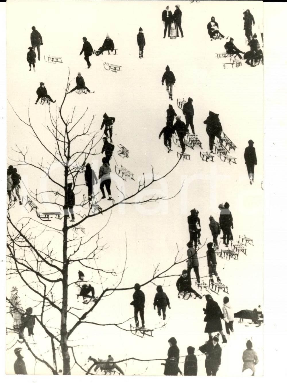 Fotografia d epoca originale 1970 BASILEA SVIZZERA Bambini sulla neve con gli slittini Foto ARTISTICA 13x18 1