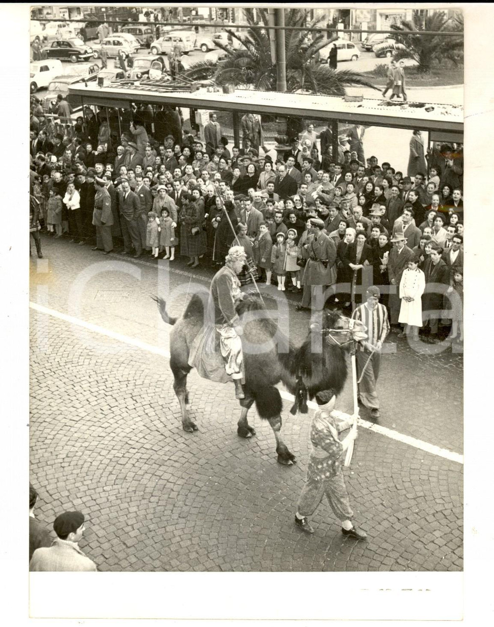 Fotografia d epoca originale 1958 NAPOLI Rievocazione storica del corteo dei RE MAGI Foto COSTUME 14x18 cm 1