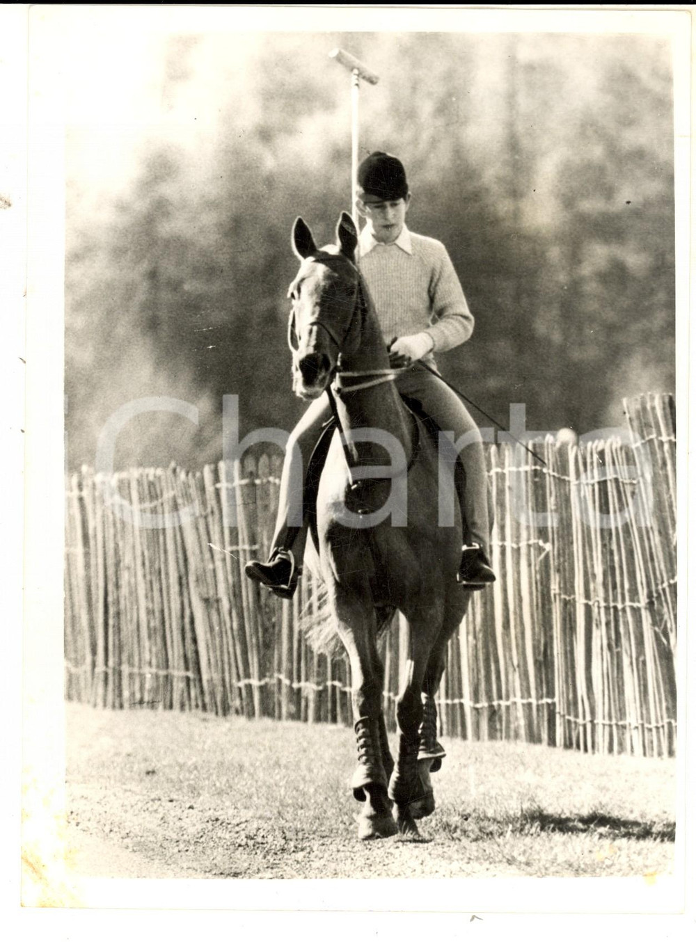 Fotografia d epoca originale 1962 WINDSOR Young Prince Charles on his polo pony at practice Photo 15x20 cm 1