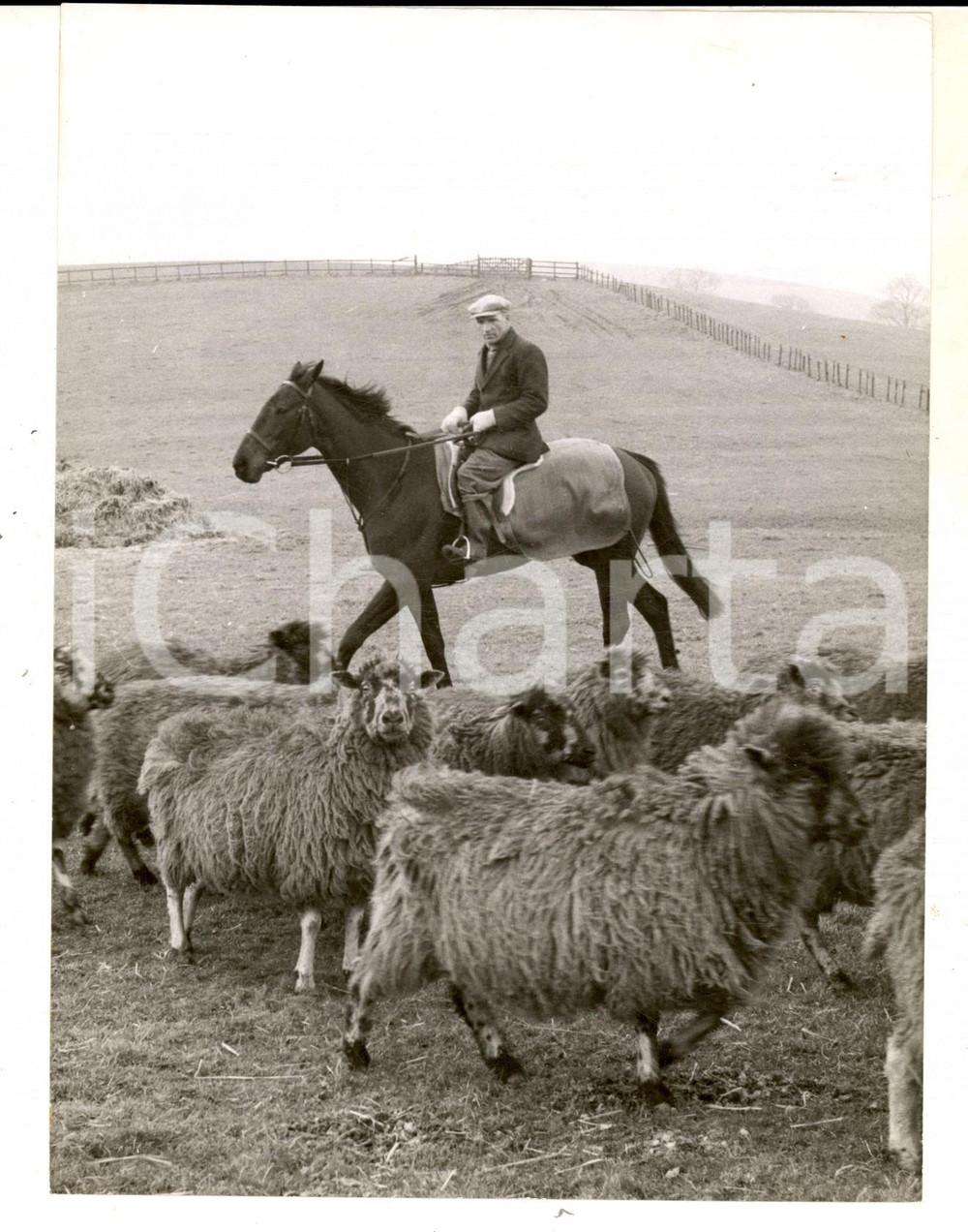 Fotografia d epoca originale 1960 SKIPTONINCRAVEN Farmer Alfred WATSON on Guinea horse PENDLE LADY Photo 1