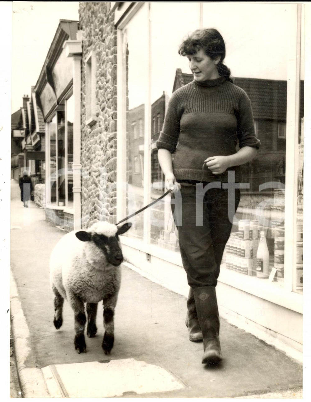 Fotografia d epoca originale 1957 WINSCOMBE UK Janet RAWLINGS and his lamb trained like a pet dog Photo 1