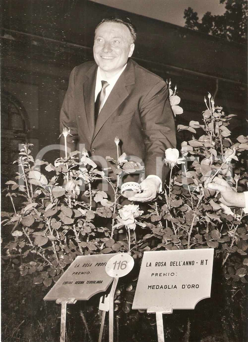 Fotografia d epoca originale 1967 MONZA Georges DELBARD vincitore Premio Rosa più profumata Foto 13x18 cm 1