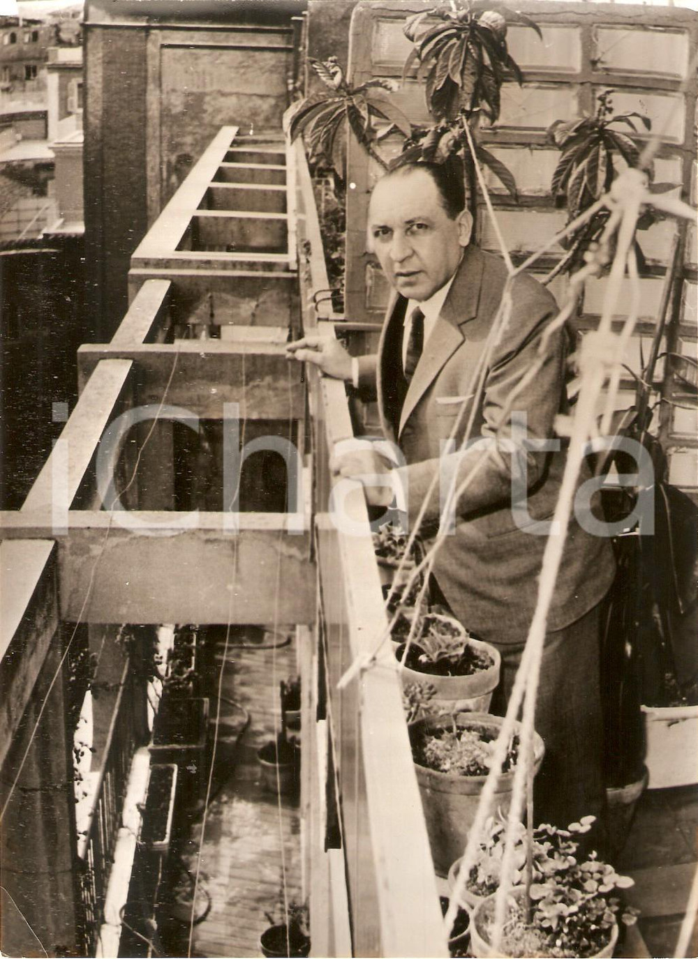 Fotografia d epoca originale 1963 ROMA Giornalista Giorgio VECCHIETTI nella serra della sua abitazione Foto 1