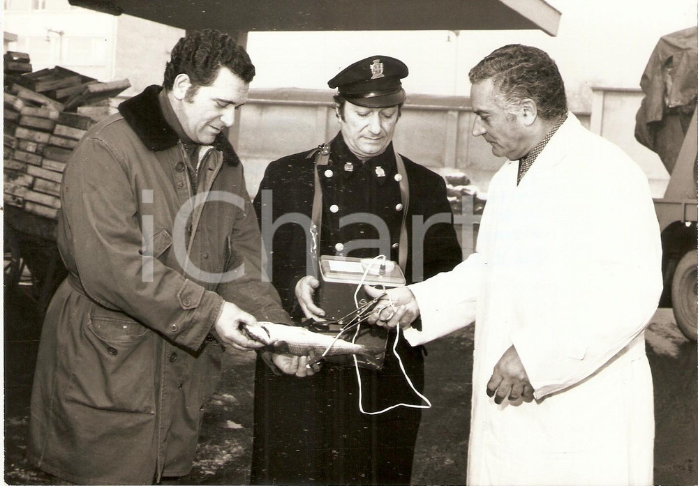 Fotografia d epoca originale 1965 ca MILANO  MERCATO ITTICO Controlli freschezza del pesce con FISCH TESTER 1