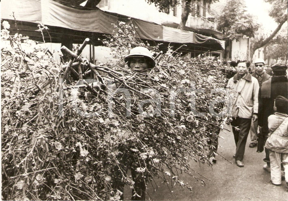 Fotografia d epoca originale 1972 HANOI Seller of flowering branches for CHINESE NEW YEAR Year of rat Foto 1