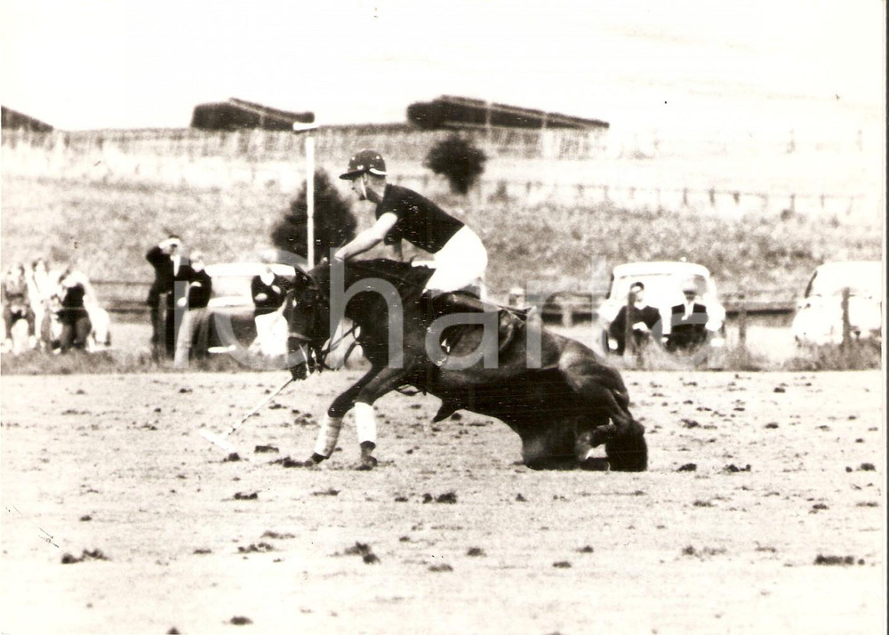 Fotografia d epoca originale 1965 ca EASEBOURNE COWDRAY PARK Prince Philip falls from horse during polo match 1