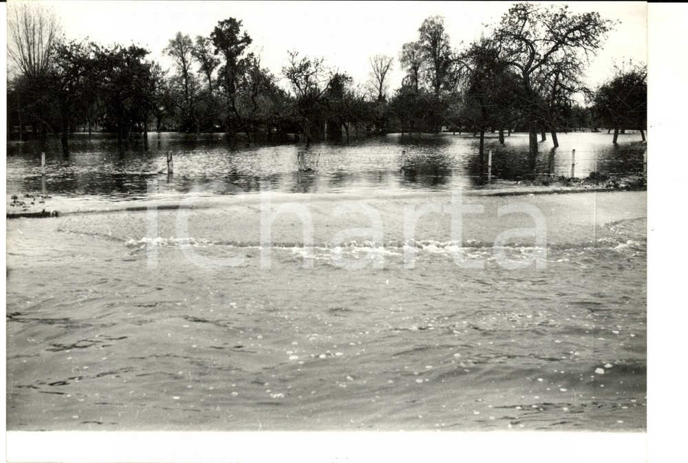 Fotografia d epoca originale 1960 MEZIDON Inondations en Normandie  La ville envahie par l eau Photo 1
