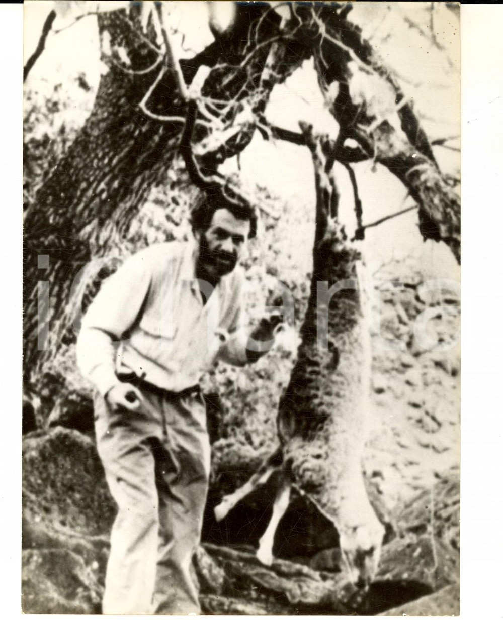Fotografia d epoca originale 1963 EIAO / ISOLE MARCHESI Georges DE CAUNES lascia l isola deserta Foto 13x18 1