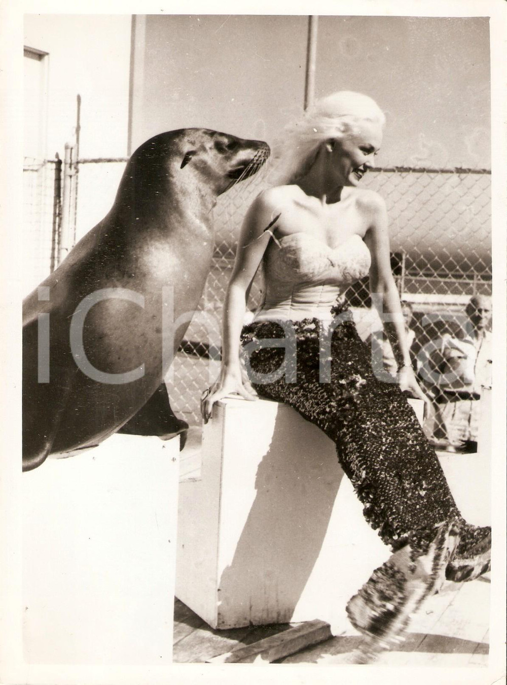 Fotografia d epoca originale 1960 MARINELAND OF THE PACIFIC Mamie VAN DOREN dressed like a mermaid with seal 1