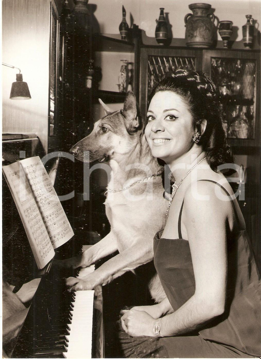 Fotografia d epoca originale 1968 MILANO Soprano Gianna GALLI esercizio di solfeggio con il cane Foto 13x18 1
