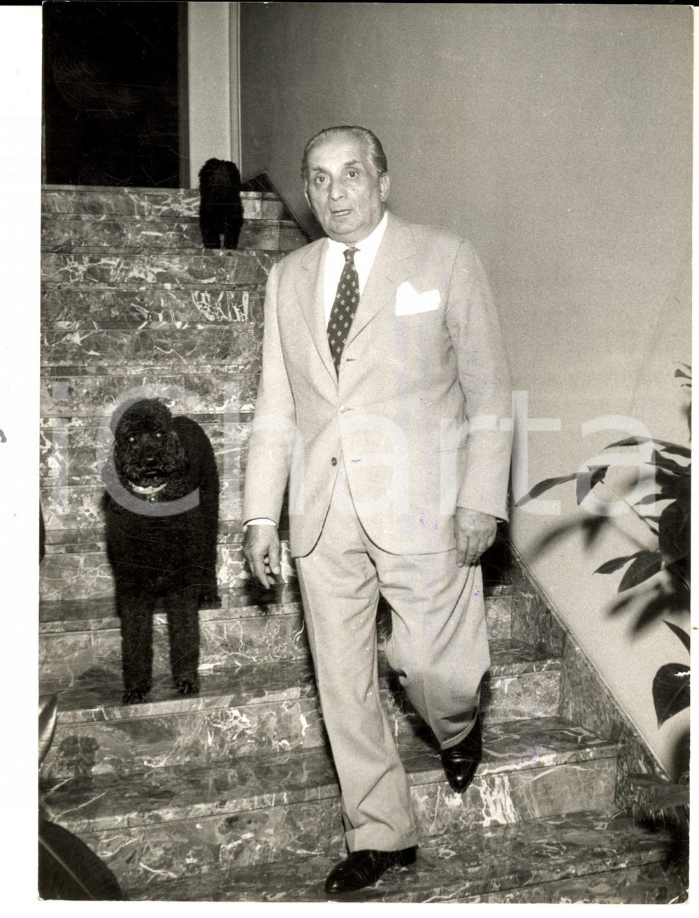 Fotografia d epoca originale 1959 MILANO Buonarroti  Giovanni Battista MENEGHINI sulle scale di casa Foto 1