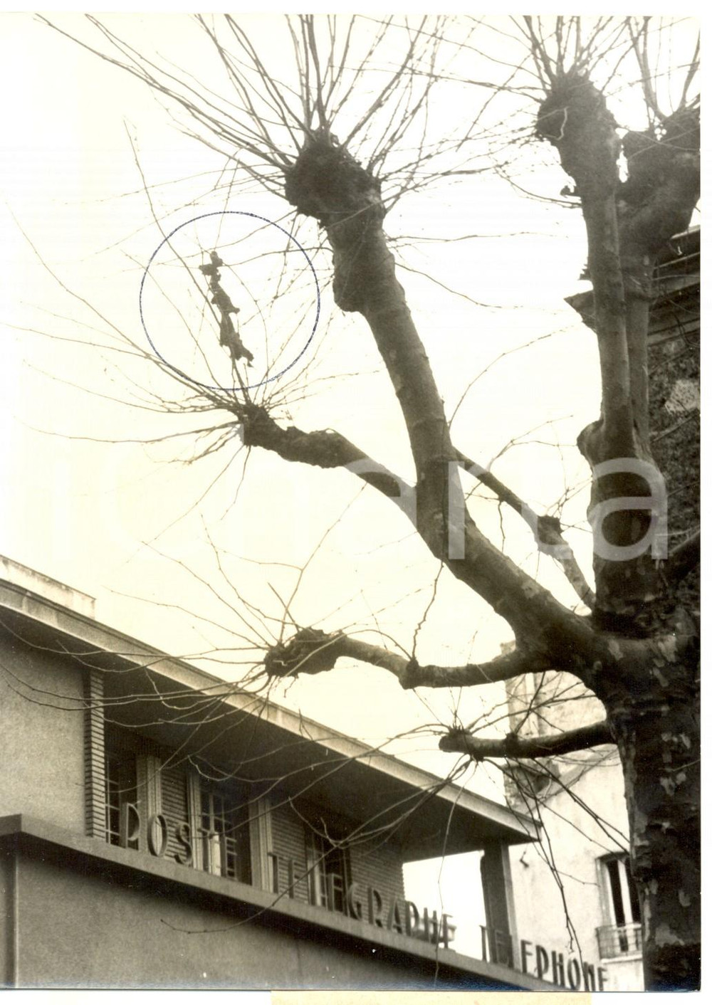 Fotografia d epoca originale 1962 ISSYLESMOULINEAUX Frammenti di divise dopo un attentato Foto 13x18 cm 1