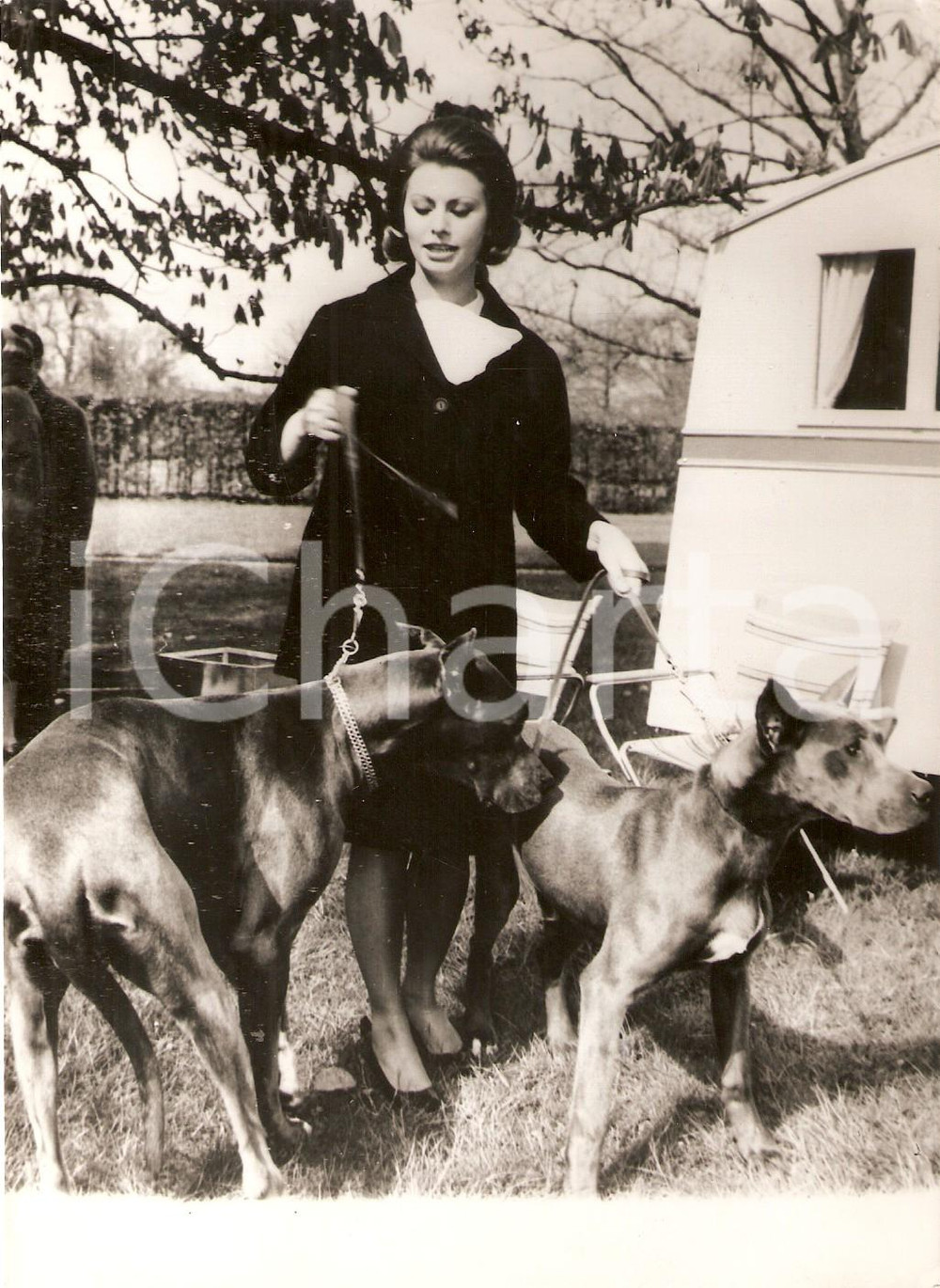 Fotografia d epoca originale 1962 CASTELLO DI TREMSBUTTEL Sophia LOREN suL set del film SEQUESTRATI DI ALTONA 1