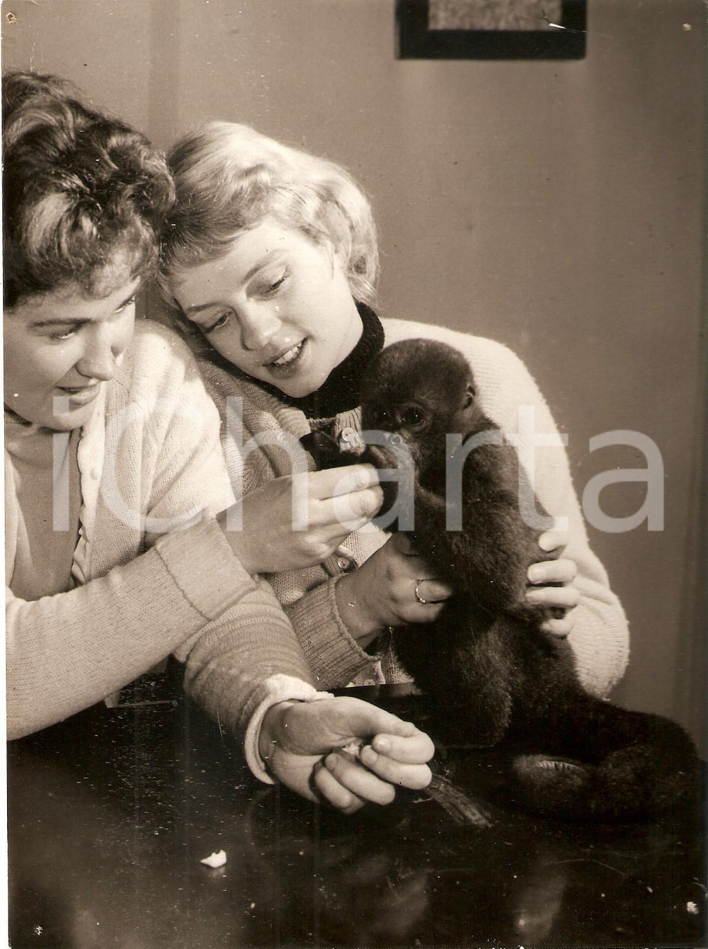 Fotografia d epoca originale 1960 CHESTER ZOO Jackie CARTER and Margo WALTON cuddle CURLY the wolly monkey 1