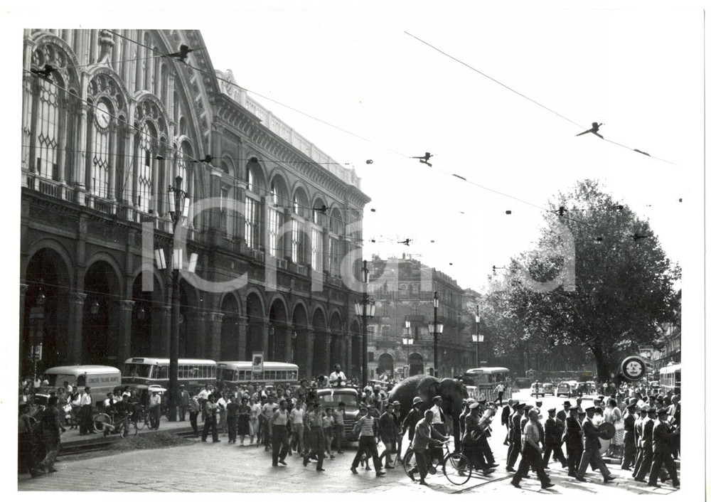 Fotografia d epoca originale 1959 TORINO PORTA NUOVA Arrivo elefante JUMBO dopo la spedizione sulle Alpi 1