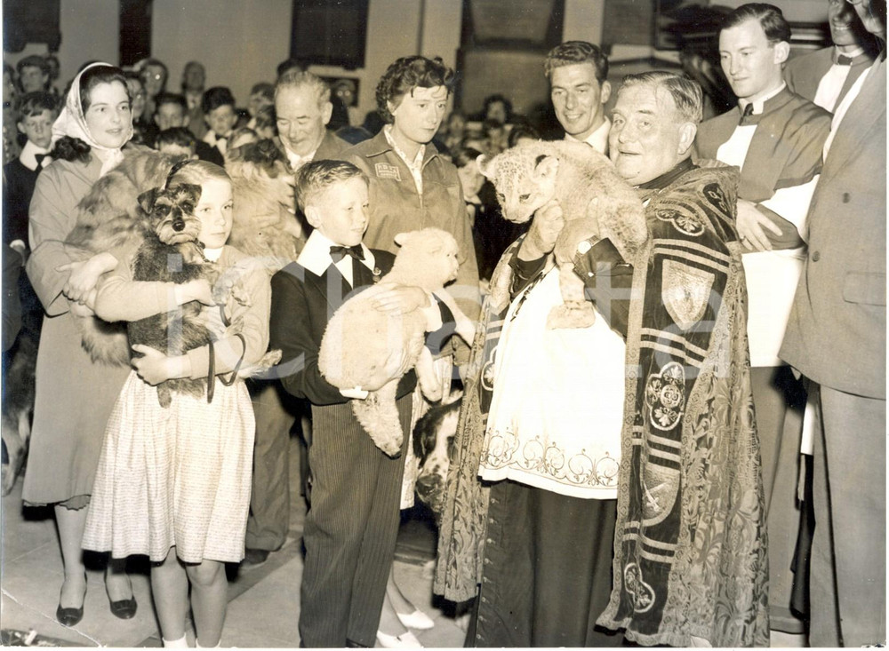 Fotografia d epoca originale 1959 LONDON St. Paul Canon Clarence MAY holds lion and lamb and several dogs 1