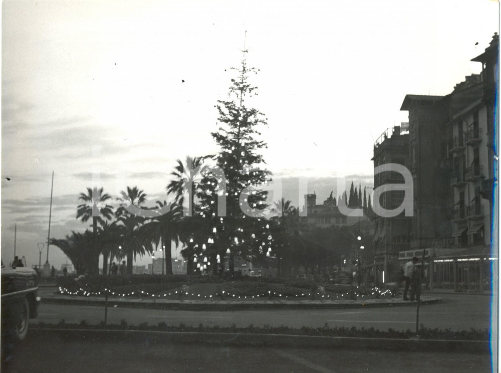 Fotografia d epoca originale 1959 SANTA MARGHERITA LIGURE Veduta del nuovo albero di NATALE Foto 24x18 cm 1