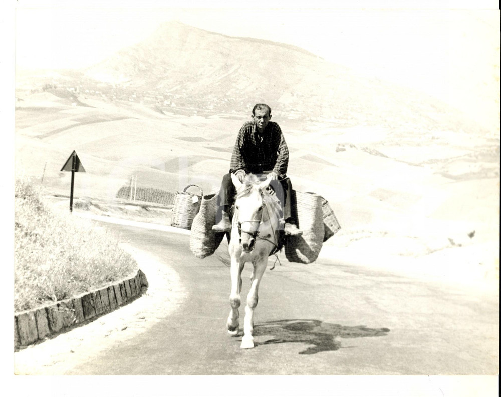 Fotografia d epoca originale 1960 ca SICILIA AGRICOLA Contadino rientra con le sporte Foto DANNEGGIATA 24x18 1