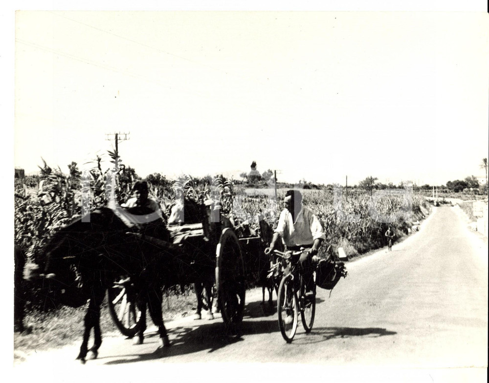 Fotografia d epoca originale 1960 ca SICILIA AGRICOLA Contadini al ritorno dai campi Foto 24x18 cm 1