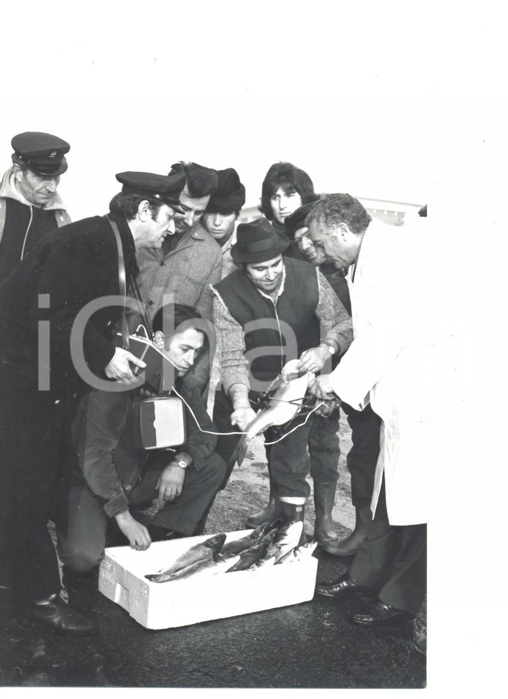 Fotografia d epoca originale 1970 ca MILANO New fish radar checking the freshness at fishmarket Photo 1