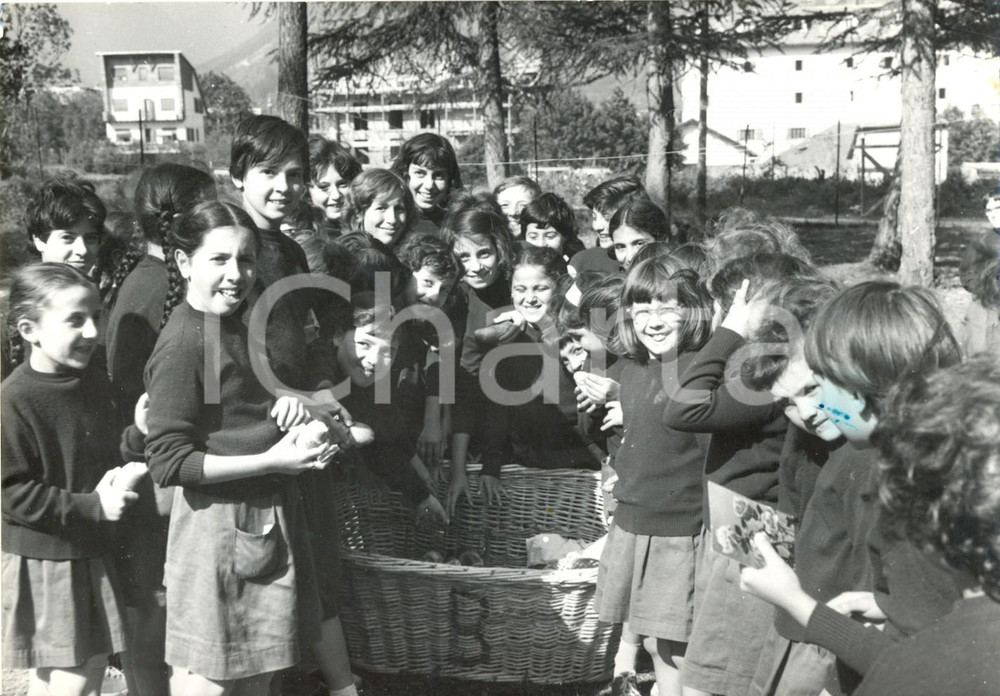 Fotografia d epoca originale 1956 CASELLA MONTEMAGGIO Colonia ANSALDO  Bambine prendono il pane da una cesta 1