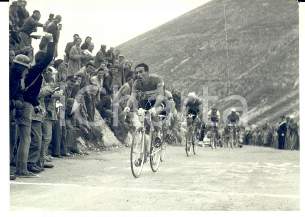 Fotografia d epoca originale 1955 CICLISMO GIRO D ITALIA Raphael GEMINIANI in testa sul Macerone Foto 1