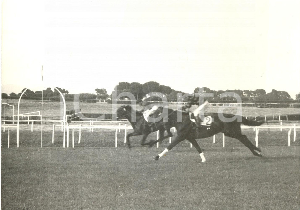 Fotografia d epoca originale 1959 ROMA IPPODROMO CAPANNELLE  Egidio VERGA e il cavallo Sedan vincono la gara 1