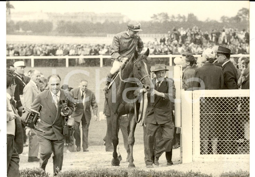 Fotografia d epoca originale 1960 Grand Prix de SAINTCLOUD Principe Karim AGA KHAN in sella a SHESHOON Foto 1