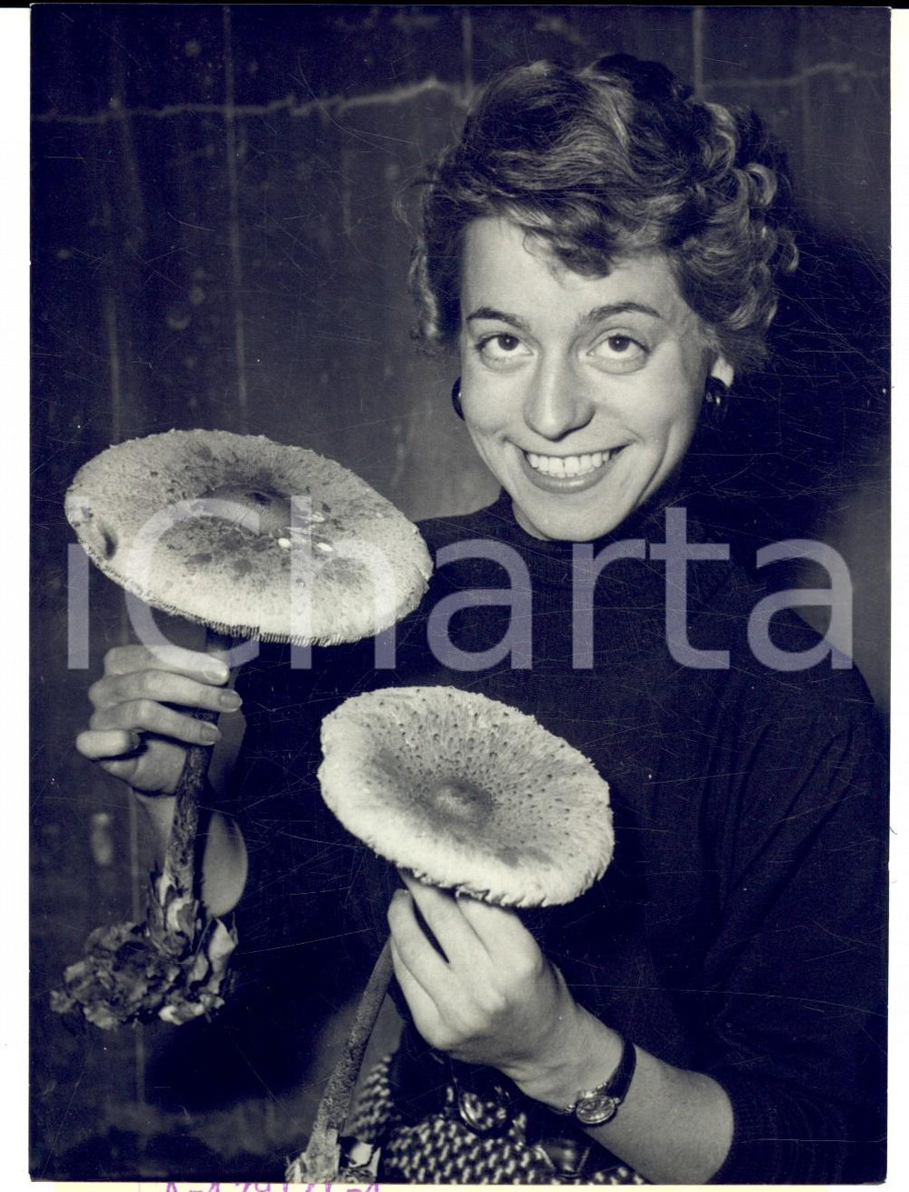 Fotografia d epoca originale 1955 ca PARIS FacultÃ© de Pharmacie  Exposition de champignon gÃ©ants Photo 1
