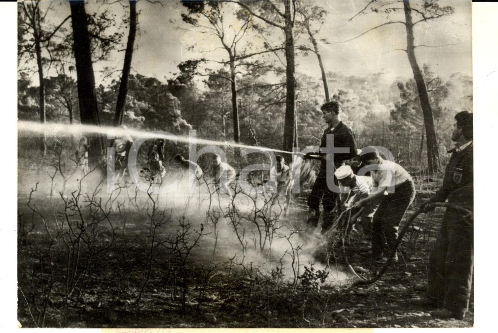Fotografia d epoca originale 1957 LA CIOTAT Volontaires contre un incendie monstre dans la pinÃ¨de Photo 1