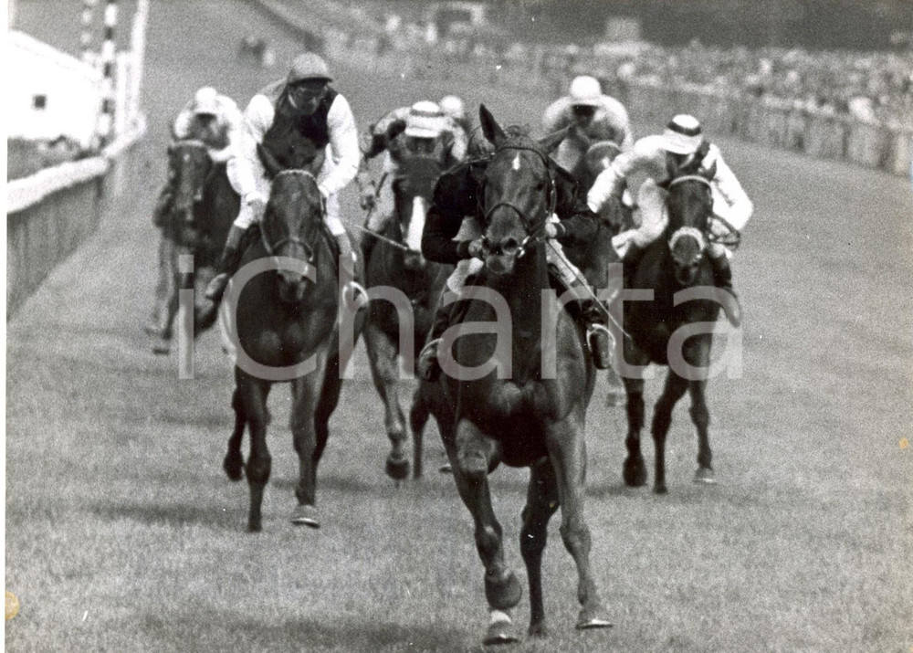 Fotografia d epoca originale 1960 LONDON  GOODWOOD STAKES  Eph SMITH wins the horse race Photo 20x15 1