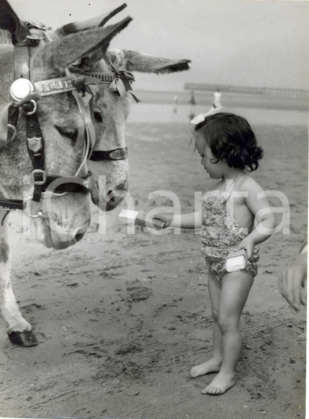 Fotografia d epoca originale 1959 BLACKPOOL Linda JONES feeds baby donkeys with icecream Foto 15x20 cm 1