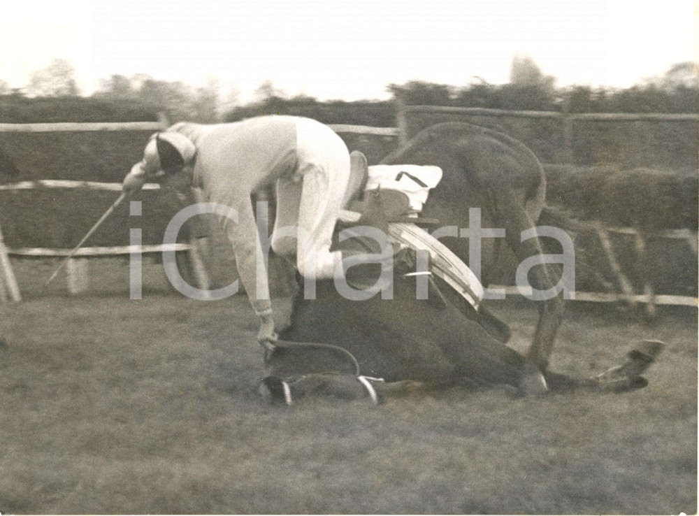 Fotografia d epoca originale 1959 MOULSEY HURST Christmas Rose Hurdle Race  Josh GIFFORD down to earth PHOTO 1