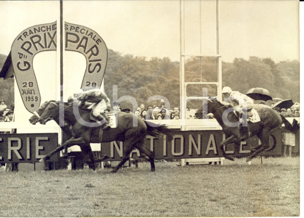 Fotografia d epoca originale 1959 Grand Prix de PARIS  Vittoria di LÃ©on FLAVIEN su BIRUM Foto DANNEGGIATA 1