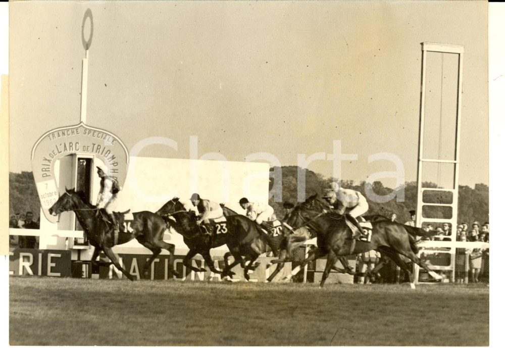 Fotografia d epoca originale 1962 PARIS LONGCHAMP Prix ARC DE TRIOMPHE  Victoire de SOLTIKOFF Photo 1