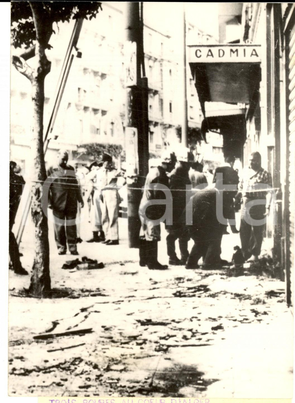 Fotografia d epoca originale 1957 ALGER TERRORISME Rue SADICARNOT aprÃ¨s l explosion de trois bombes Photo 1