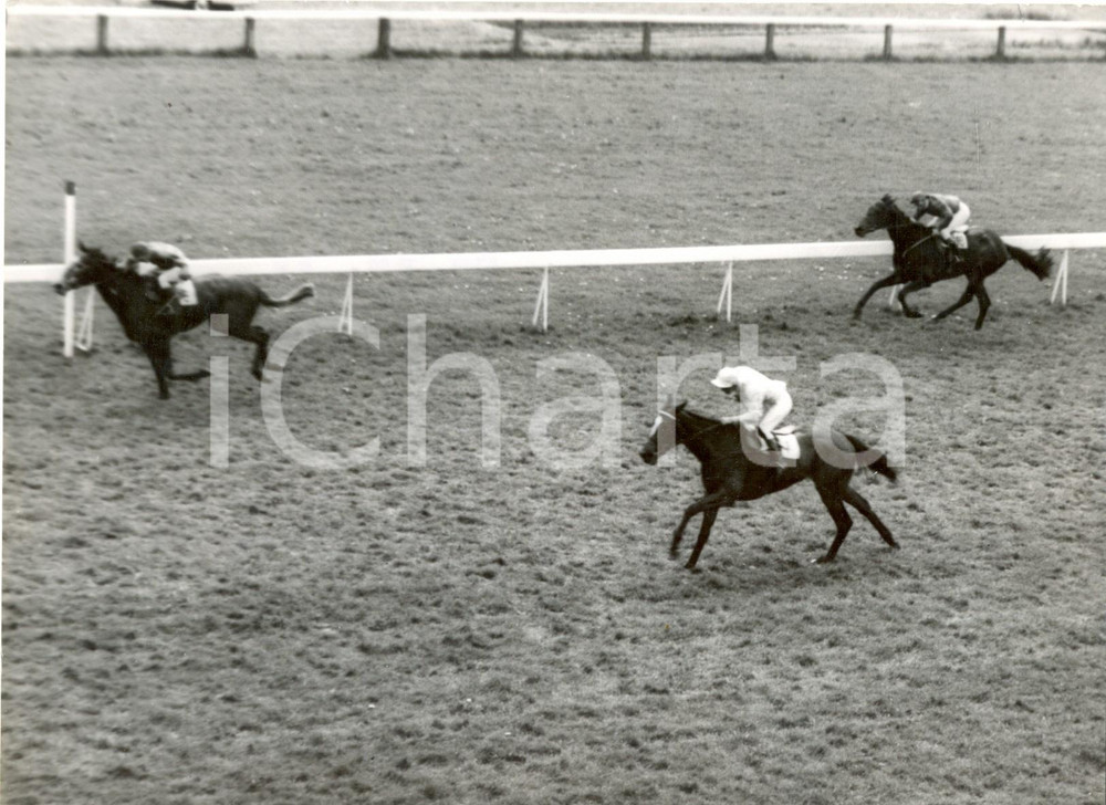 Fotografia d epoca originale 1959 NEWMARKET UK  1,000 Guineas  Doug SMITH wins on Petite Etoile Photo 1