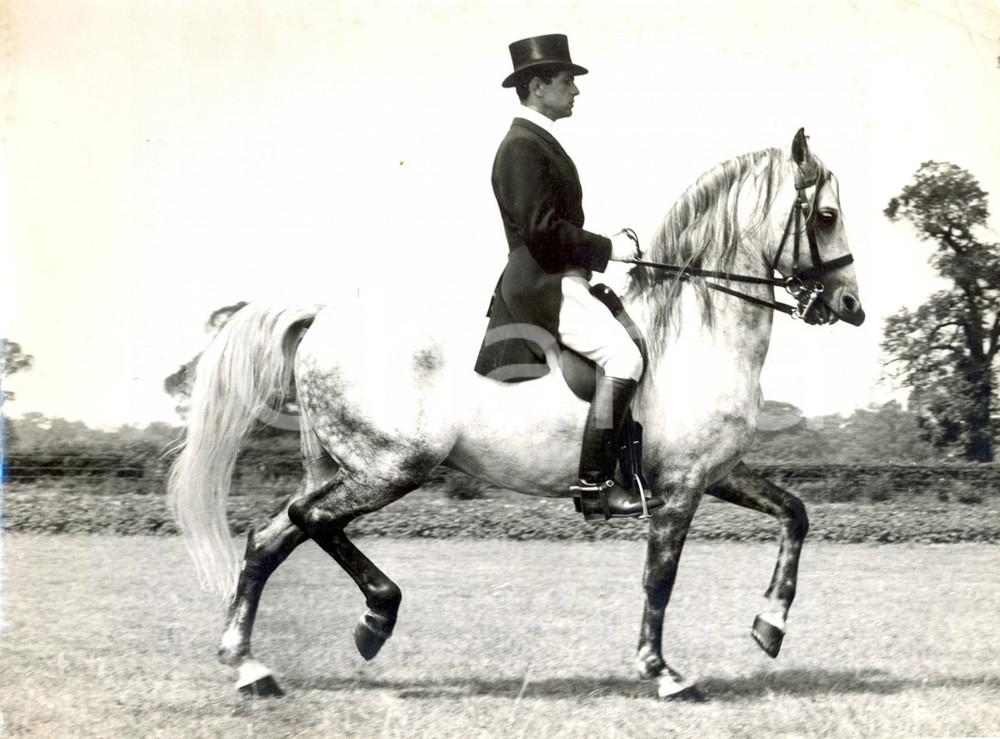 Fotografia d epoca originale 1957 LONDON International Horse Show Robert HALL during dressage demonstration 1